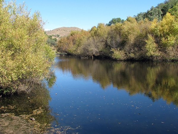 California Gulch Pond