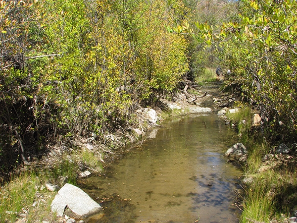 California Gulch stream