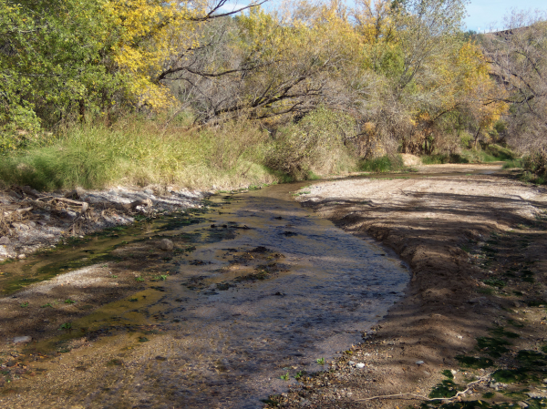 Cienega Creek Natural Preserve