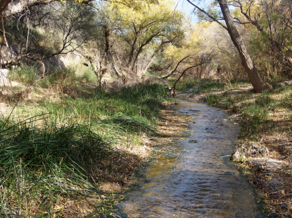 Cienega Creek Natural Preserve