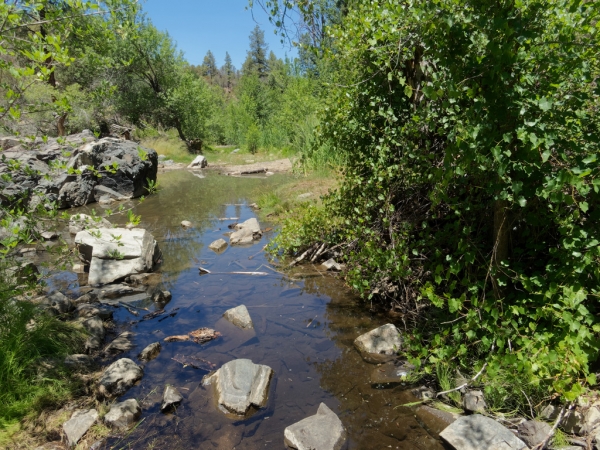 Lynx Creek at Sevenmile Gulch