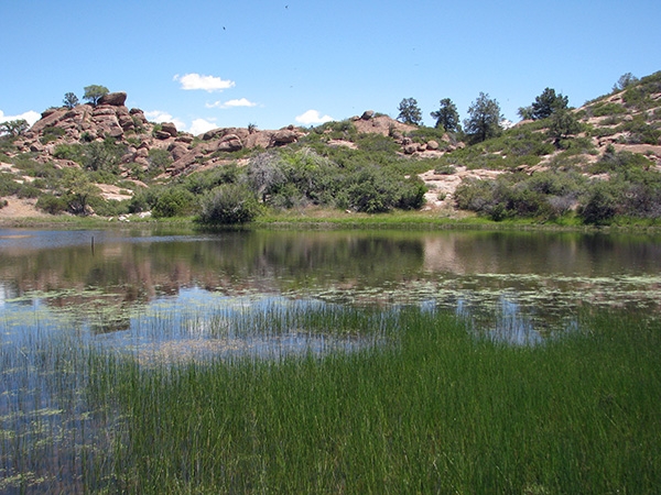 Oak Flat Mine Pond
