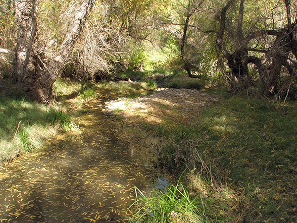 Queen Creek at Apache Tears