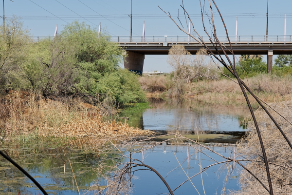 Rio Salado Habitat Restoration Area