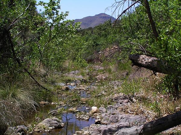 Sycamore Creek, Maricopa
