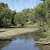 Location: Sonoita Creek