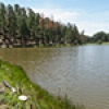 Location: Black River Pond, Marsh, and Stream