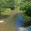 Location: Lynx Creek at Sevenmile Gulch