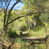 Location: Muleshoe Ranch: Hot Springs Canyon